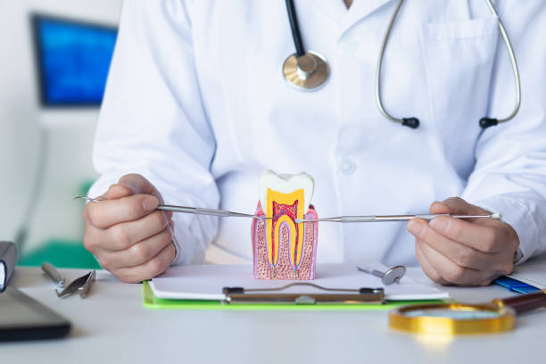 Best Tooth Infection Emergency Dentist  in Clay City, IN